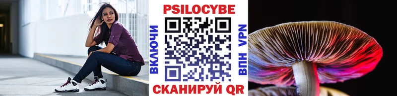 цена наркотик darknet наркотические препараты Псилоцибиновые грибы ЛСД Копейск