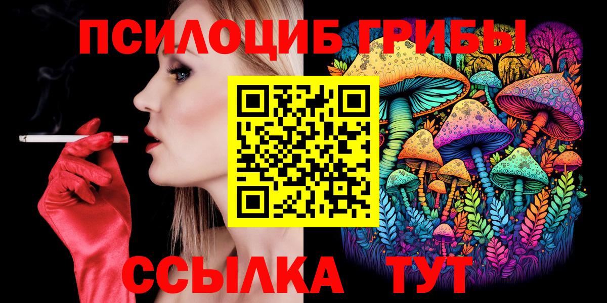 Псилоцибиновые грибы Cubensis Копейск