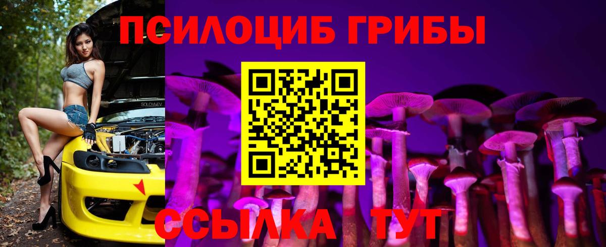 Псилоцибиновые грибы мицелий Копейск